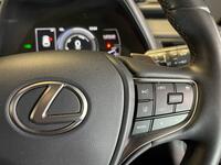 LEXUS UX 250H